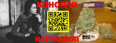 прущие крисы Кингисепп