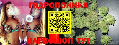 стафф Кимры