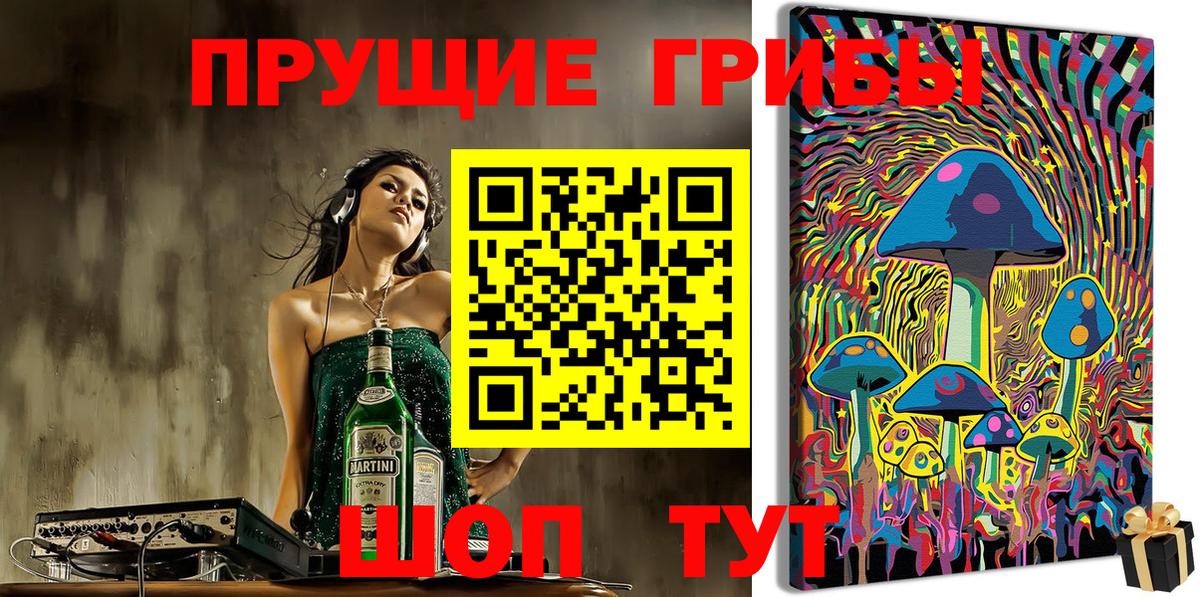 Королёв  Псилоцибиновые грибы GOLDEN TEACHER  Вход с VPN  Галлюциногенные грибы Cubensis 