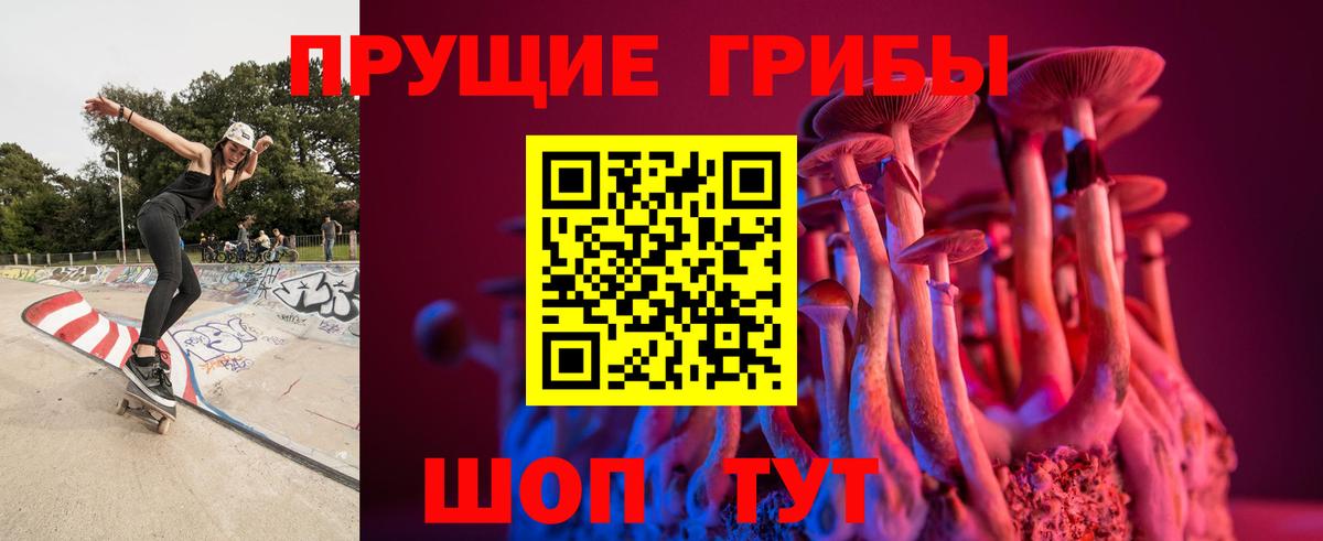 Псилоцибиновые грибы прущие грибы Королёв