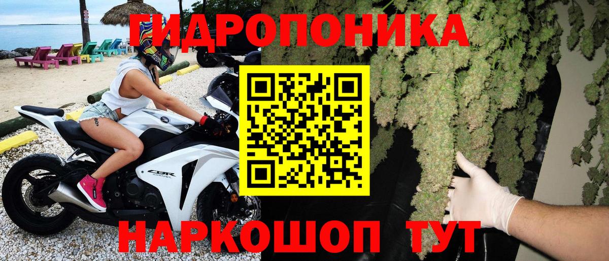 Конопля семена Королёв